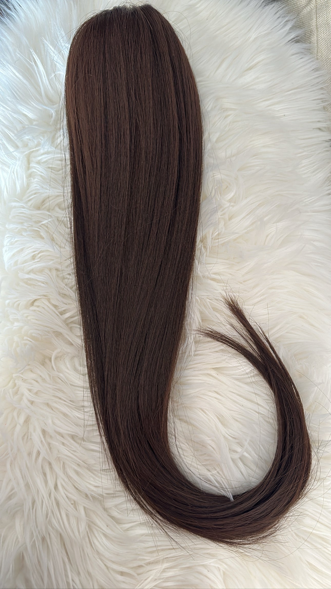 Desire Ponytail